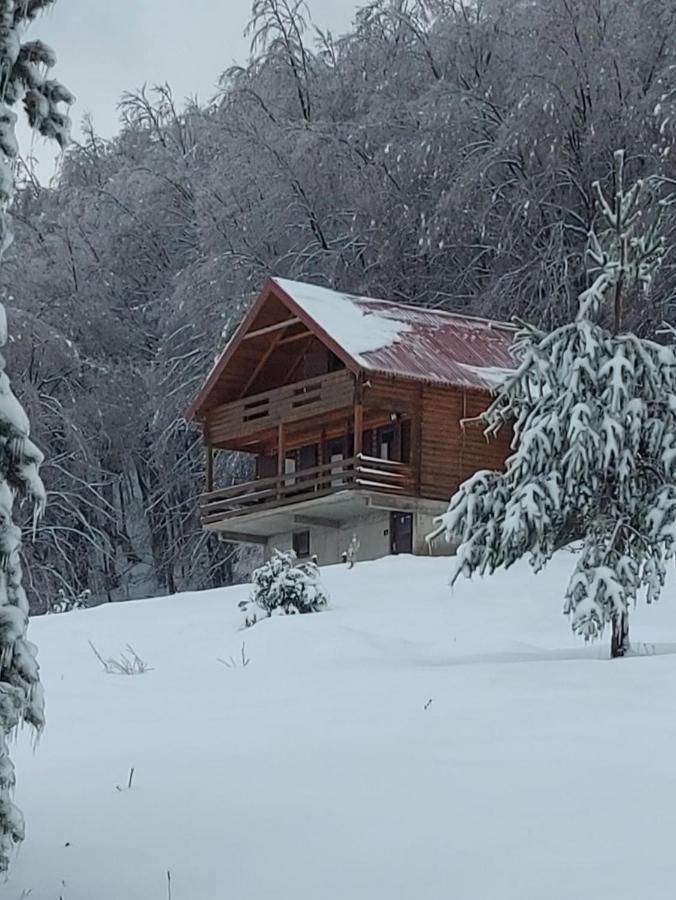 Casa vacanze Forestside *